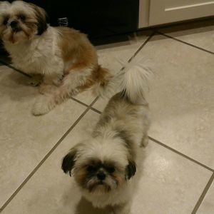 Meet your Posher, Barbara